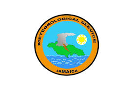 MSJ Logo